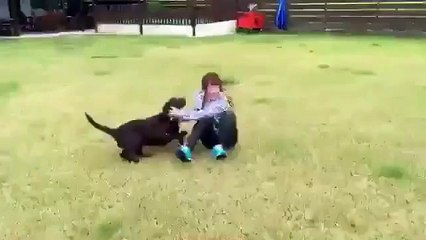 NMB48 小谷里歩 おもち とドッグランに行った時の♪2015.09.08