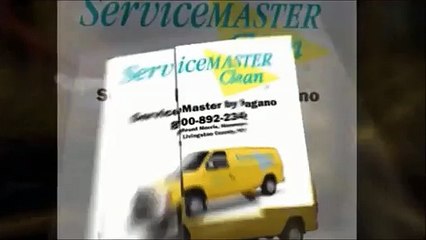 Best Carpet Cleaner in Groveland, NY 585-658-4704