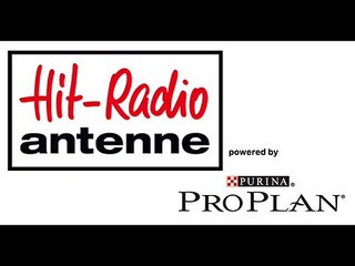 Richtige Ernährung für Welpen.wmv