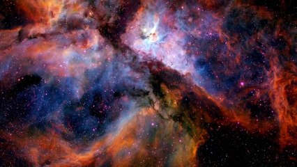 Turtle Dream Sequence - Always Sunny In Philadelphia