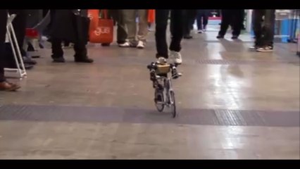 PRIMER-V2 Robot Rides A Bike Just Like A Human ...