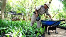 Hecho En: Reforestación - Experiencias Xcaret, las mejores actividades en Cancún y Riviera Maya.