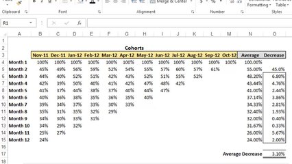 Excel: Cohort Analysis