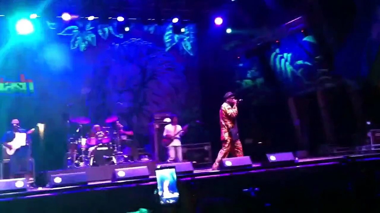 Macka-B--Medical-Marihuana-Rototom-festival