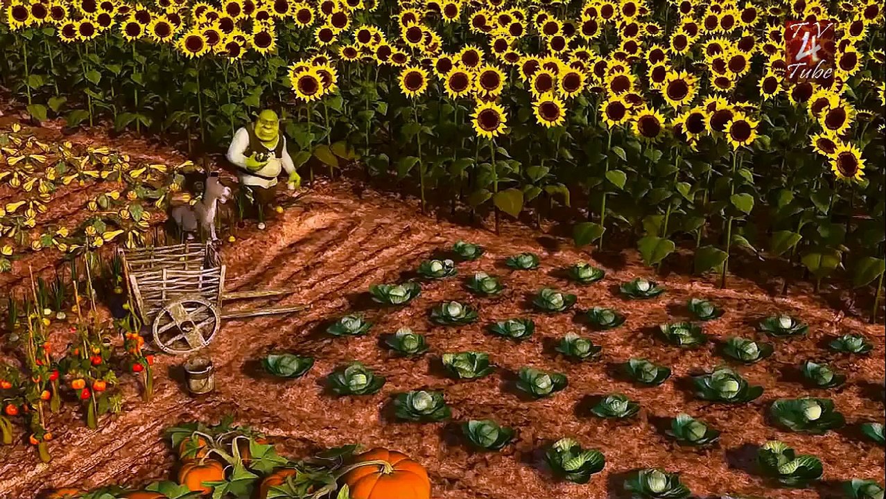 Very Funny Shrek And Donkey Bhand