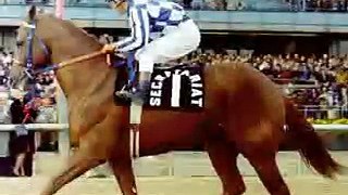 Horse racing montage.