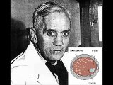 Alexander Fleming and the Discovery of Penicillin