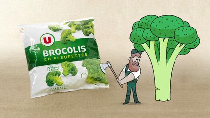 TBWA Paris et DAN Paris pour Système U - «Que cachent les produits U - Les Brocolis» - septembre 2015