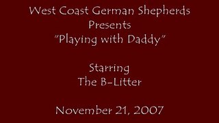 West Coast German Shepherds - Playing With Daddy