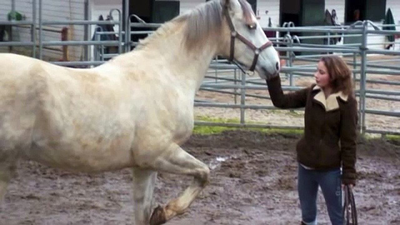 Musique du film danse avec lui de Jean Claude Petit