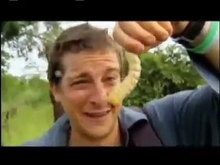 Man vs. Wild - Eating Giant Larva