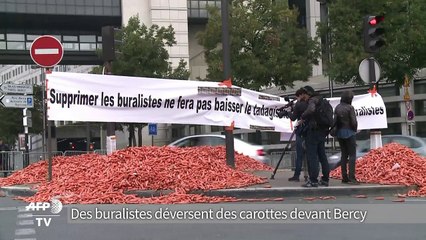 Buralistes: des tonnes de carottes déversées devant Bercy