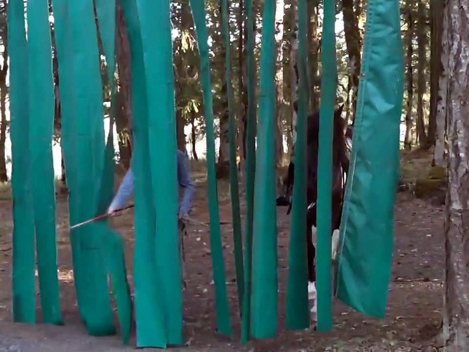 Vaengaskjona from Extreme Farms Video 1