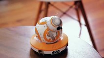 BB 8 Droid Demo - Star Wars Sphero BB-8 Droid 