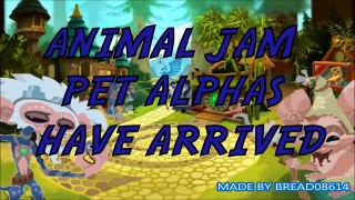 Animal Jam  Funny And Scary Animal Jam Pets | funny pets | funny pets videos