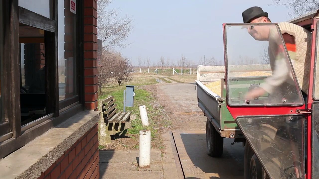 Rajko predaje kukuruz - AS Hibridi