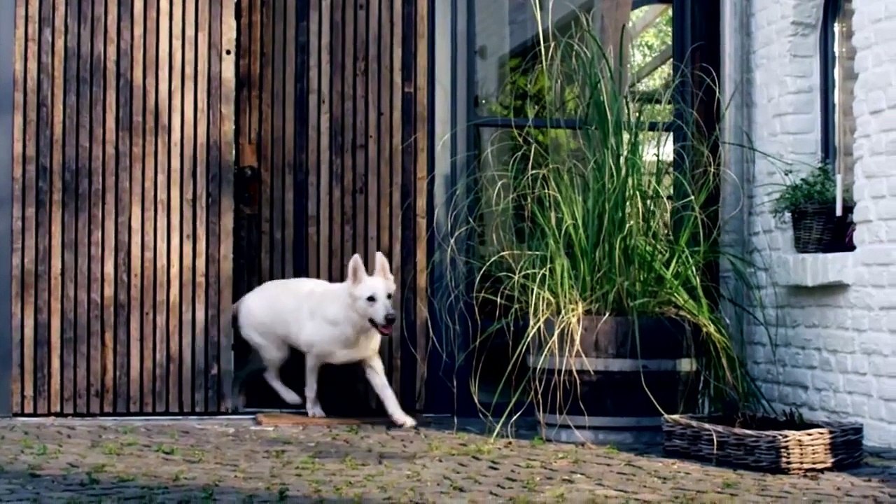 Martin Rütter: nachSITZen live!