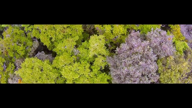 Rocio Montenegro - Dios de toda la Tierra - Música Cristiana