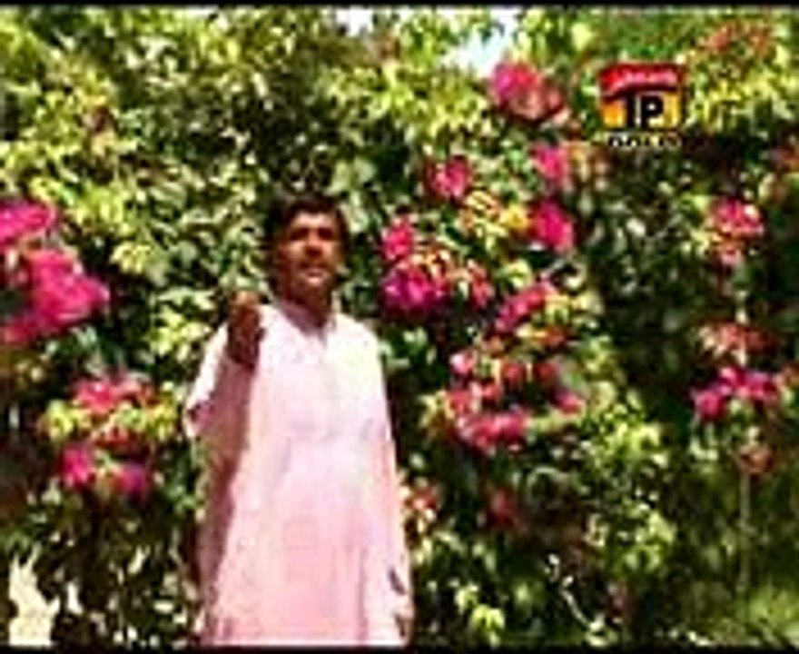 Sajanrr Taan Kandh daidin Singer Irhad Hussain Sanjrani Posted By A1 Mobile shop Daira Din Panah 03136776937