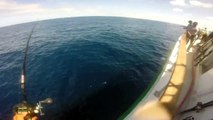 Yellowfin Tuna Fishing in San Diego - Following your lines