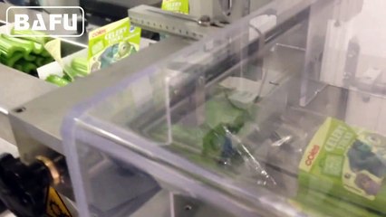 vegetable packaging machine, fruit packaging machine, food packaging machine