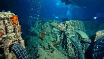 TOP & BEST SCUBA DIVING SITES IN THE WORLD
