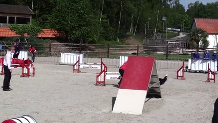 2012 WAO Mashup
