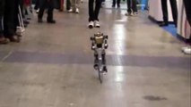 Ce petit robot fait du vélo comme un grand