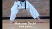 Karate Stances Basic Shotokan Stances Kokutsu Dachi - Back Stance