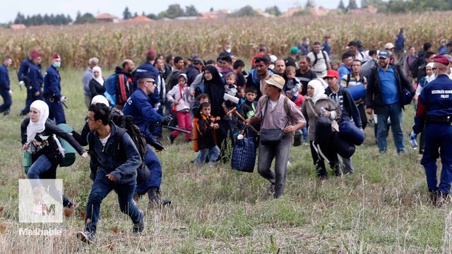 Refugees break free from police and make a run for it at Hungary border