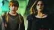 Ron and Hermione in Deathly Hallows