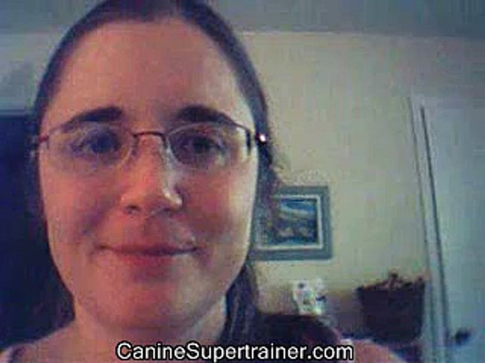 Secrets to Dog Training Review