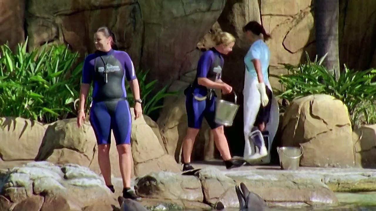 H2O - just add water Season 1 Episode 4 - Party Girls (short episode) _ H2O - JUST ADD WATER