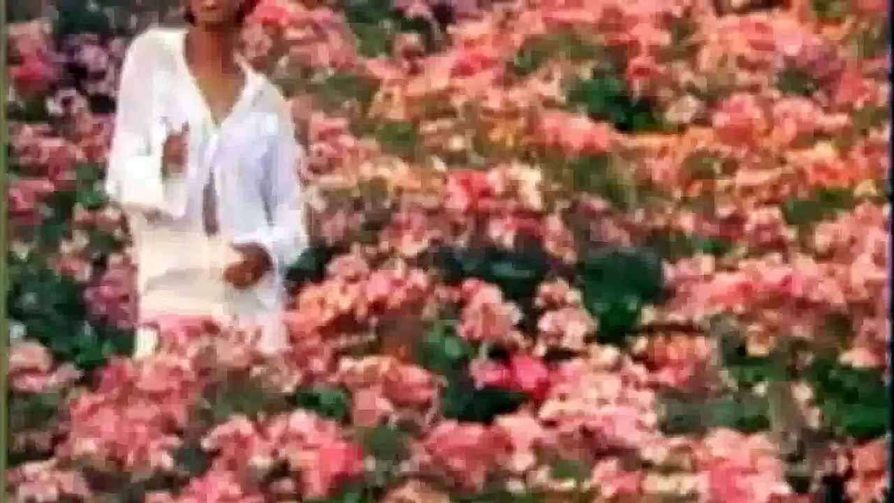 Guru - No Time To Play