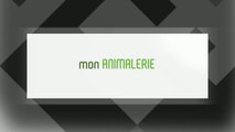 Mon Référencement - GILHOBBY – Namur - animalerie