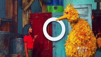 "Sesame Street" celebrates Its 45th anniversary