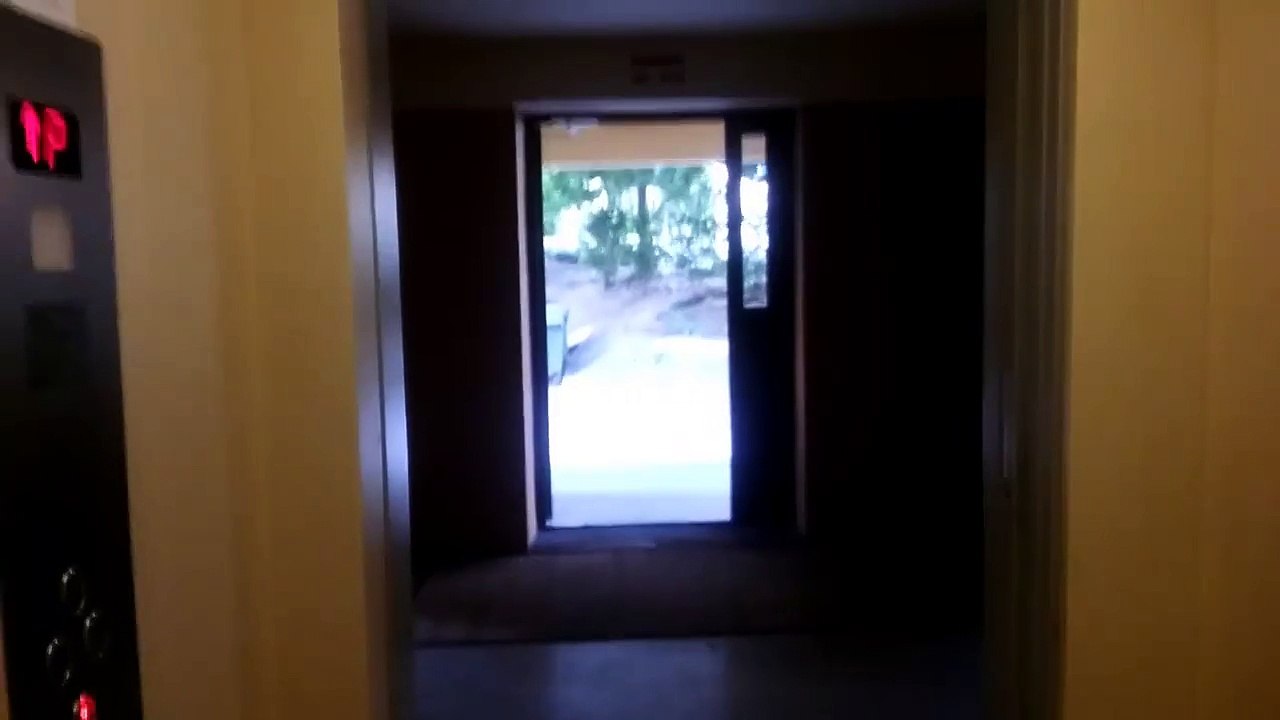 MOV_1815