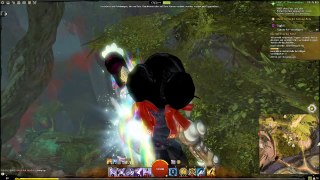 Guild Wars 2 (HoT) Mastery Point / Jaka Furel 2