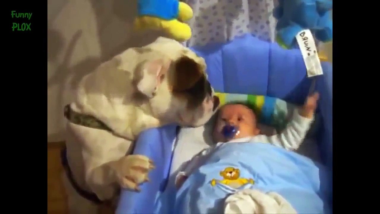 Funny Baby Videos  Funny Videos 2015