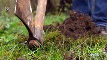 Querbeet-Garten: Kompost Folge 1 | Querbeet | BR - Bayerisches Fernsehen