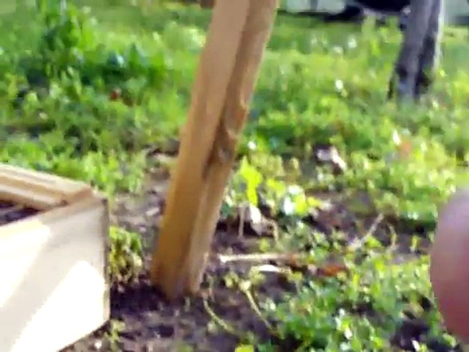 My First Top Bar Hive Inspection