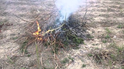 Vlorë, zbulohet një bazë për tharjen e kanabisit në Dishan