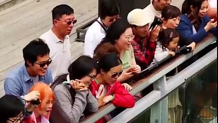 KYA AP ITNI UNCHAI SE JUMP LGA SAKTE HAIN.... AWESOME JUMPS. WHO WANT TO DO THIS?