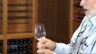 Choosing wine glasses: Wine tasting with John B.