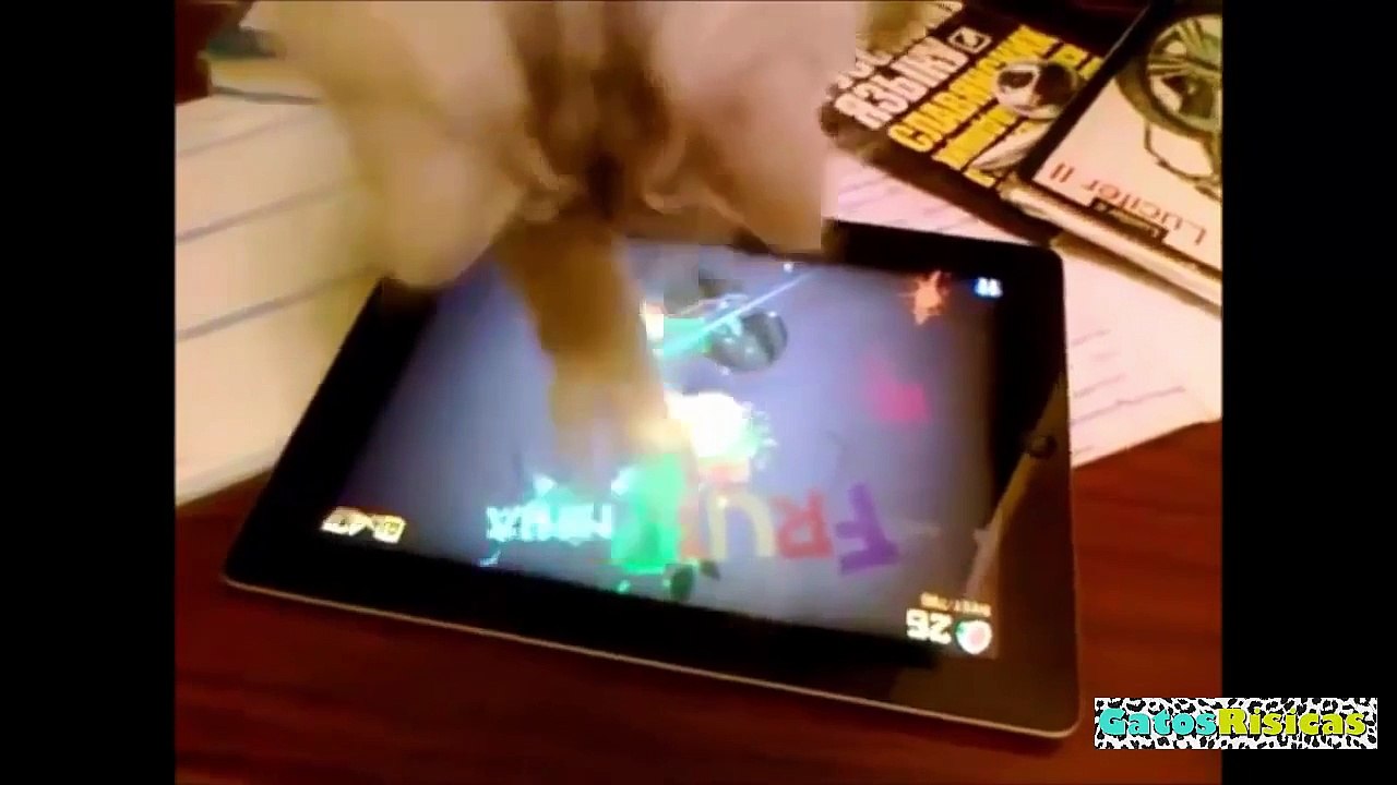 Animales Chistosos Jugando con Tablets. Recopilación Vídeos Divertidos