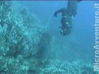 Pesca Subacquea - Cernia
