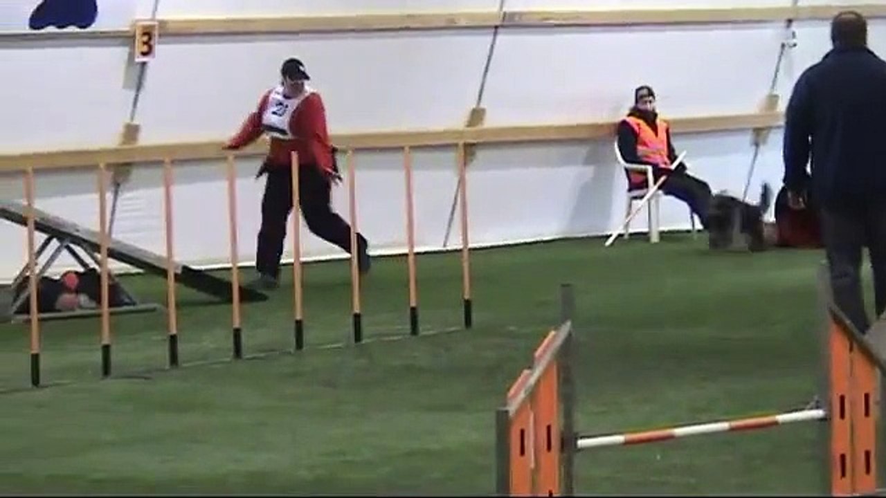 Schapendoes Seela ATT 1.4.2013