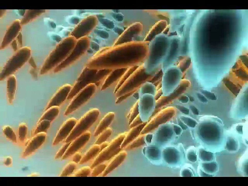 Retro Electronic Music - Dreams of Bebe - Pim Zond