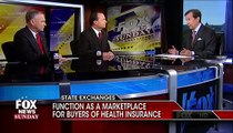 Chris Wallace Gets Fed Up Questioning Senators on ObamaCare: 'I'm Trying to Stop the Rhetoric'