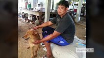 Dog saves baby from dump site in Thailand